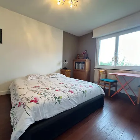 Dom wakacyjny Maison - Piscine Privee - 6 Personnes - 20 Min Du Centre A Pied Colmar