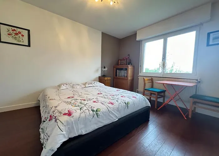 Dom wakacyjny Maison - Piscine Privee - 6 Personnes - 20 Min Du Centre A Pied Colmar